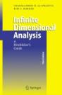 Infinite Dimensional Analysis - Preview