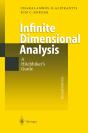 Infinite Dimensional Analysis - Preview