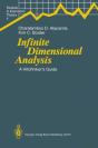 Infinite Dimensional Analysis - Preview
