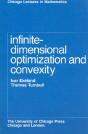 Infinite-Dimensional Optimization And Convexity - Preview
