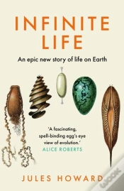 Capa do artigo Infinite Life