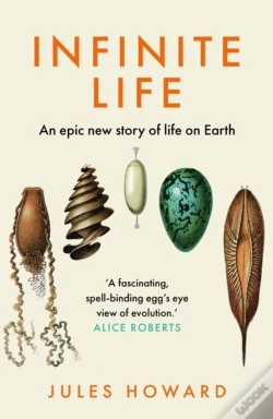 Capa do artigo Infinite Life