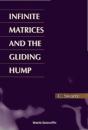 Infinite Matrices And The Gliding Hump, Matrix Methods In Analysis - Preview