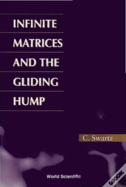 Capa do artigo Infinite Matrices And The Gliding Hump, Matrix Methods In Analysis