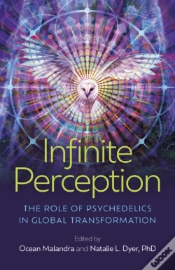 Capa do artigo Infinite Perception