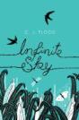 Infinite Sky - Preview