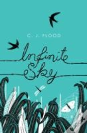 Capa do artigo Infinite Sky