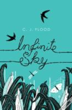 Capa do artigo Infinite Sky
