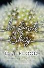 Infinite Sky - Preview