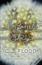 Capa do artigo Infinite Sky