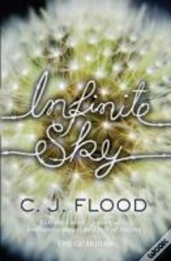 Capa do artigo Infinite Sky