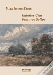 Capa do artigo Infinitos Céus, Pássaros Soltos
