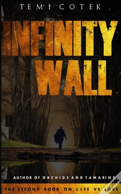 Capa do artigo Infinity Wall