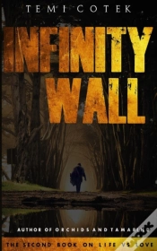 Capa do artigo Infinity Wall