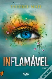 Capa do artigo Inflamável