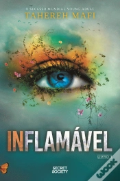 Capa do artigo Inflamável