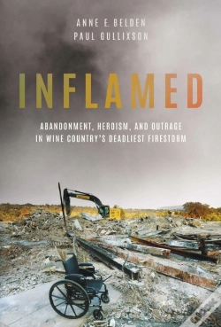 Capa do artigo Inflamed