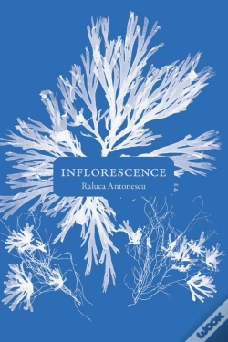 Capa do artigo Inflorescence
