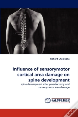 Capa do artigo Influence Of Sensorymotor Cortical Area Damage On Spine Development