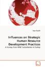 Influences On Strategic Human Resource Development Practices - Preview