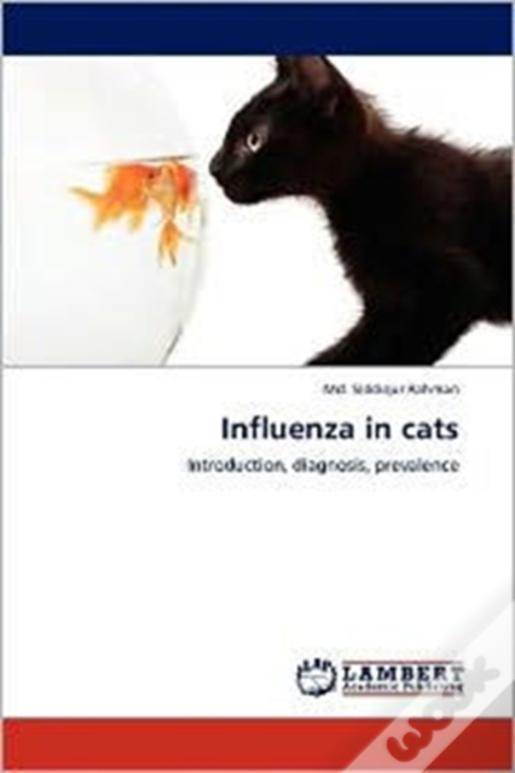 Influenza In Cats