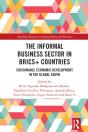 Informal Business Sector In Brics+ Countries - Preview