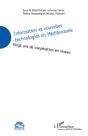 Information Et Nouvelles Technologies En Méditerranée ; Vingt Ans De Coopération En Réseau - Preview