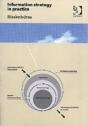 Information Strategy In Practice - Preview