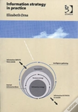 Capa do artigo Information Strategy In Practice