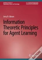 Information Theoretic Principles For Agent Learning