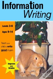 Capa do artigo Information Writing