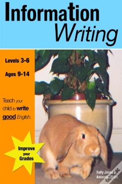 Capa do artigo Information Writing