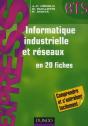 Informatique Industrielle Et Réseaux ; En 20 Fiches - Preview