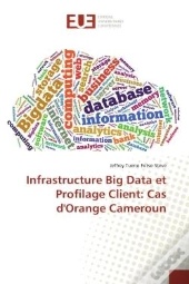 Infrastructure Big Data Et Profilage Client: Cas D'Orange Cameroun