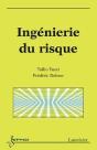 Ingenierie Du Risque - Preview