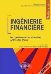 Capa do artigo Ingénierie Financière : Les Opérations De Restructuration ; Analyse Des Enjeux