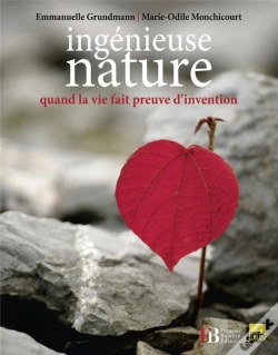 Capa do artigo Ingenieuse Nature