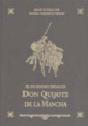 Ingenioso Hidalgo Don Quijote de la Mancha - Preview