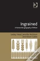 Ingrained