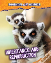 Capa do artigo Inheritance And Reproduction