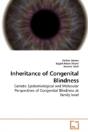 Inheritance Of Congenital Blindness - Preview