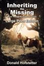 Inheriting The Missing - Large Print - Preview