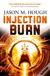 Capa do artigo Injection Burn