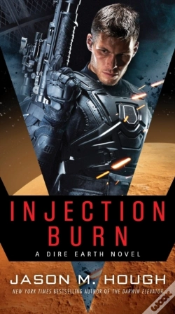 Capa do artigo Injection Burn
