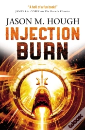 Capa do artigo Injection Burn