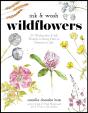 Ink & Wash Wildflowers - Preview