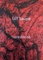 Inmediación - Preview