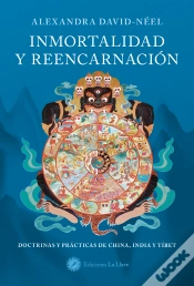 Capa do artigo Inmortalidad Y Reencarnacion
