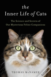 Capa do artigo Inner Life Of Cats