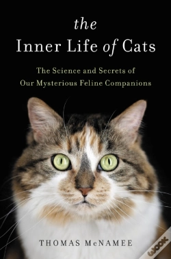 Capa do artigo Inner Life Of Cats